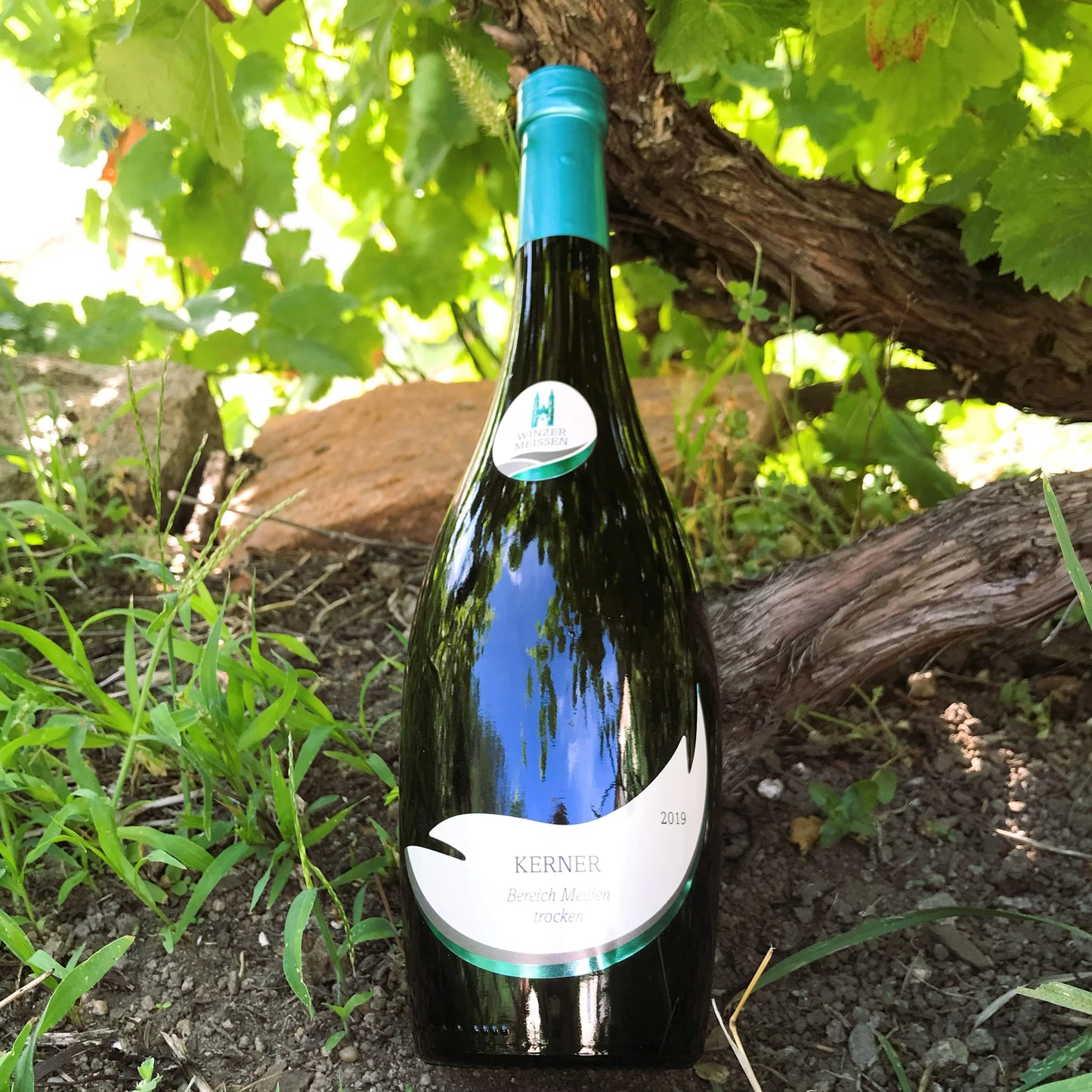 Kerner, QUW 2019, Winzer Meißen, Weißwein, Sachsen, trocken